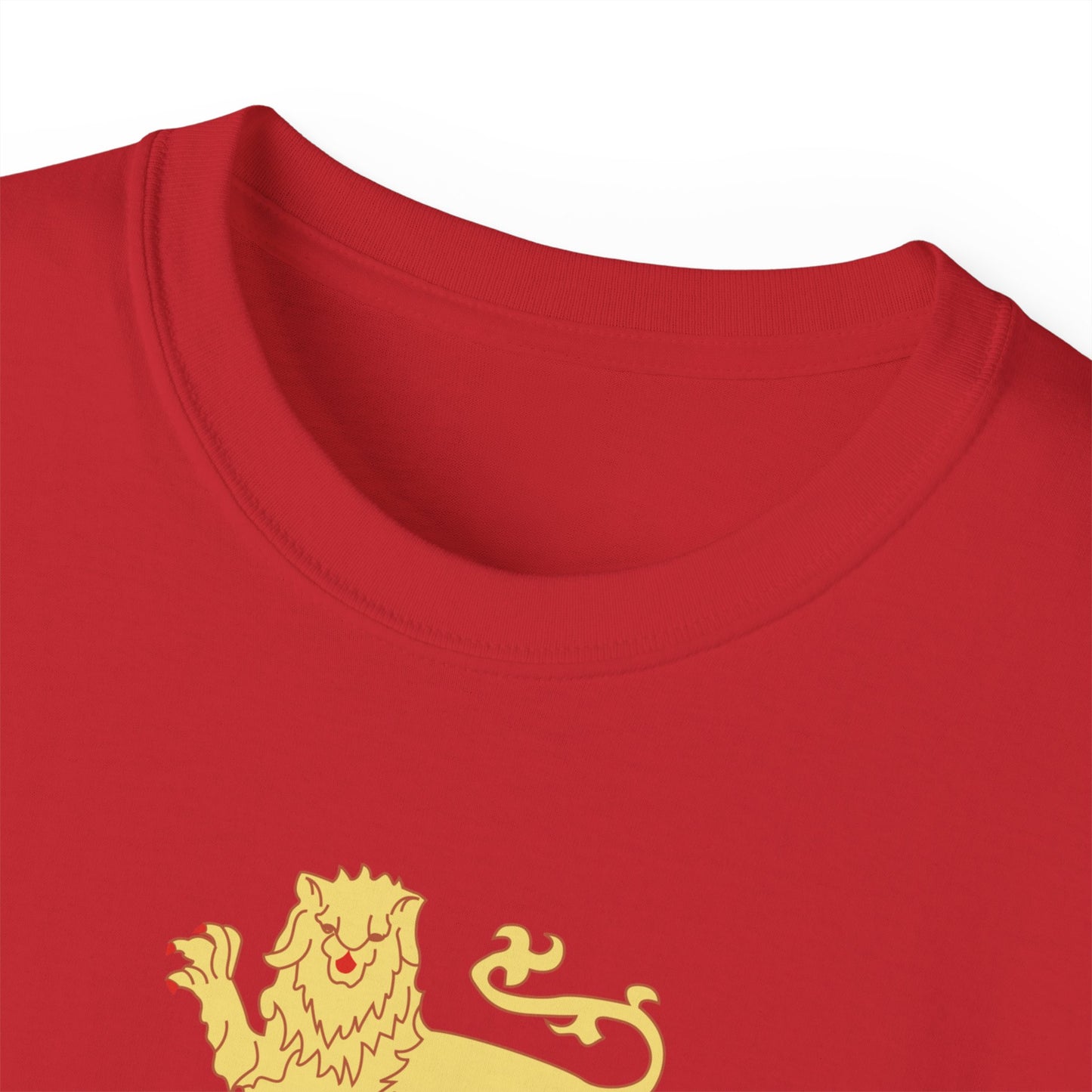 Unisex Ultra Cotton Tee - COA - 2nd Infantry Regiment