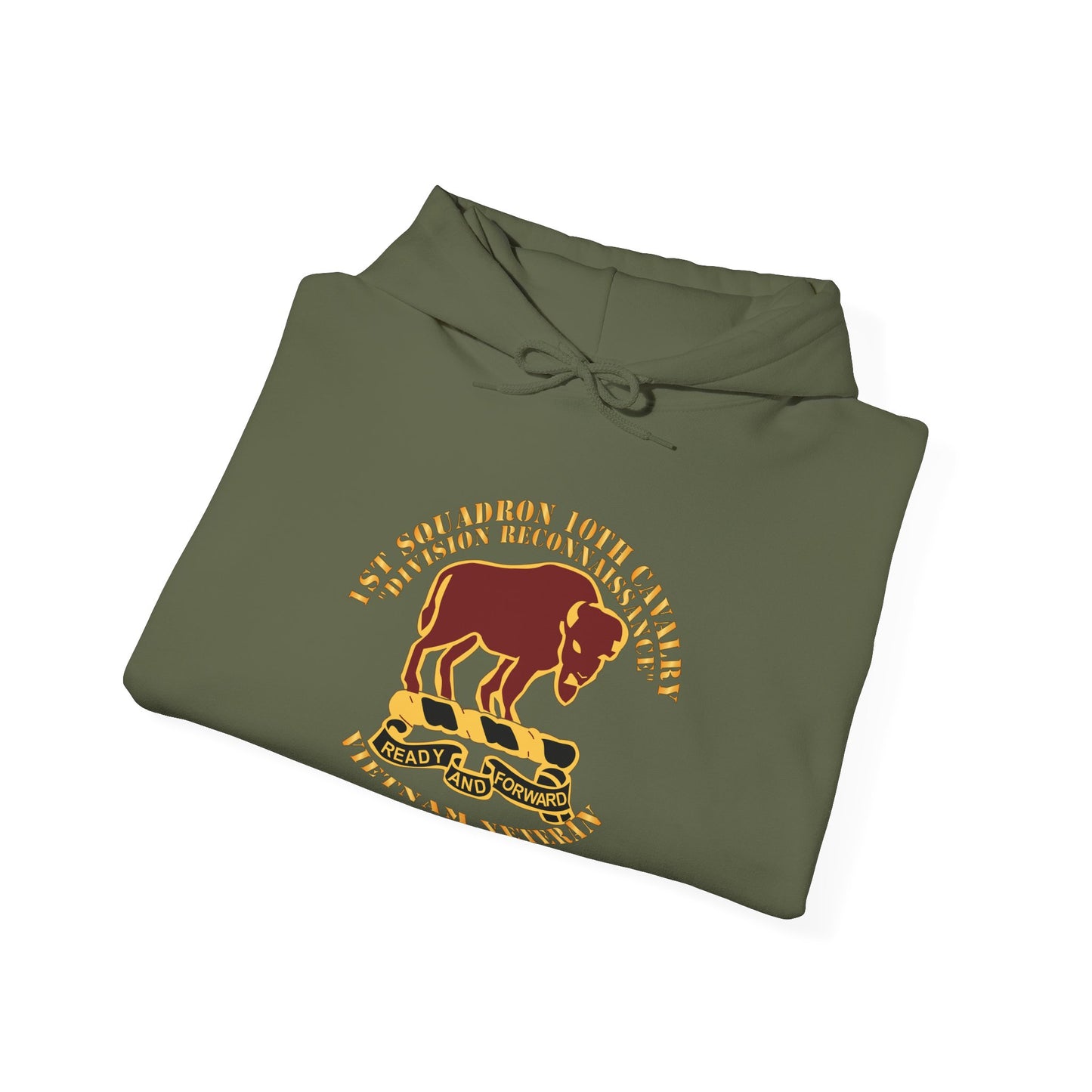 Unisex Heavy Blend™ Hooded Sweatshirt - Army - 1st Squadron, 10th Cavalry w SVC Ribbon X 300