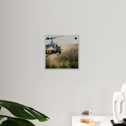 Acrylic Wall Art Panel - 1st Cavalry Division - Air Assault - Vietnam