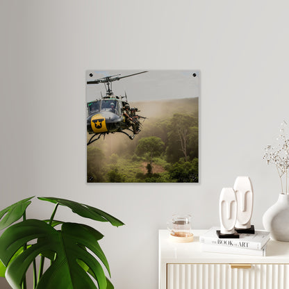 Acrylic Wall Art Panel - 1st Cavalry Division - Air Assault - Vietnam