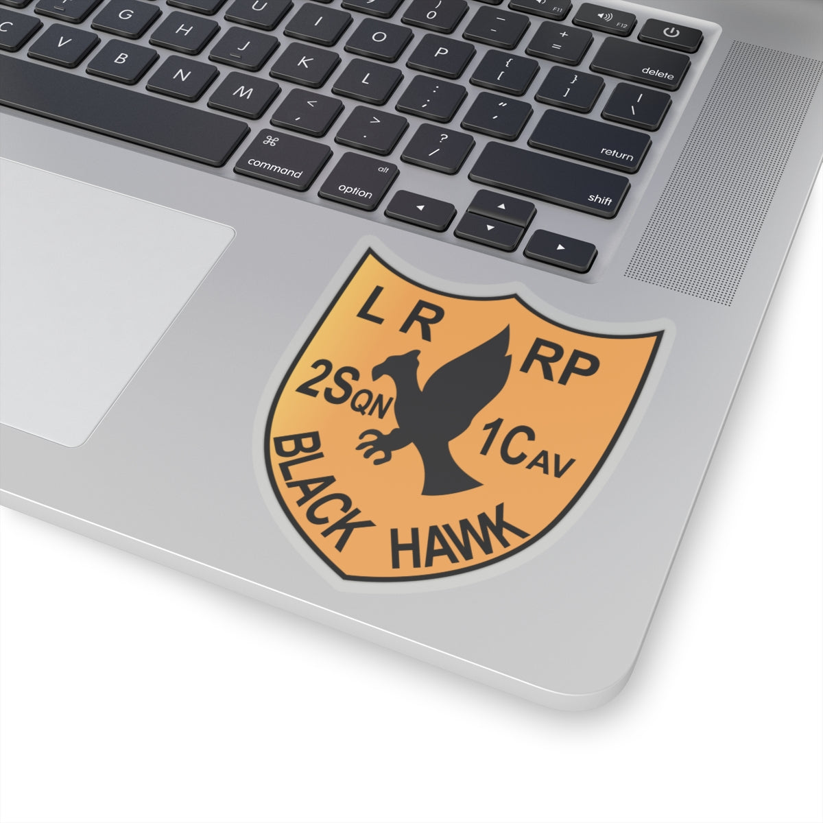 Kiss-Cut Stickers - Army - 2nd Squadron, 1st Cav Regt  LRRP - Black Hawk