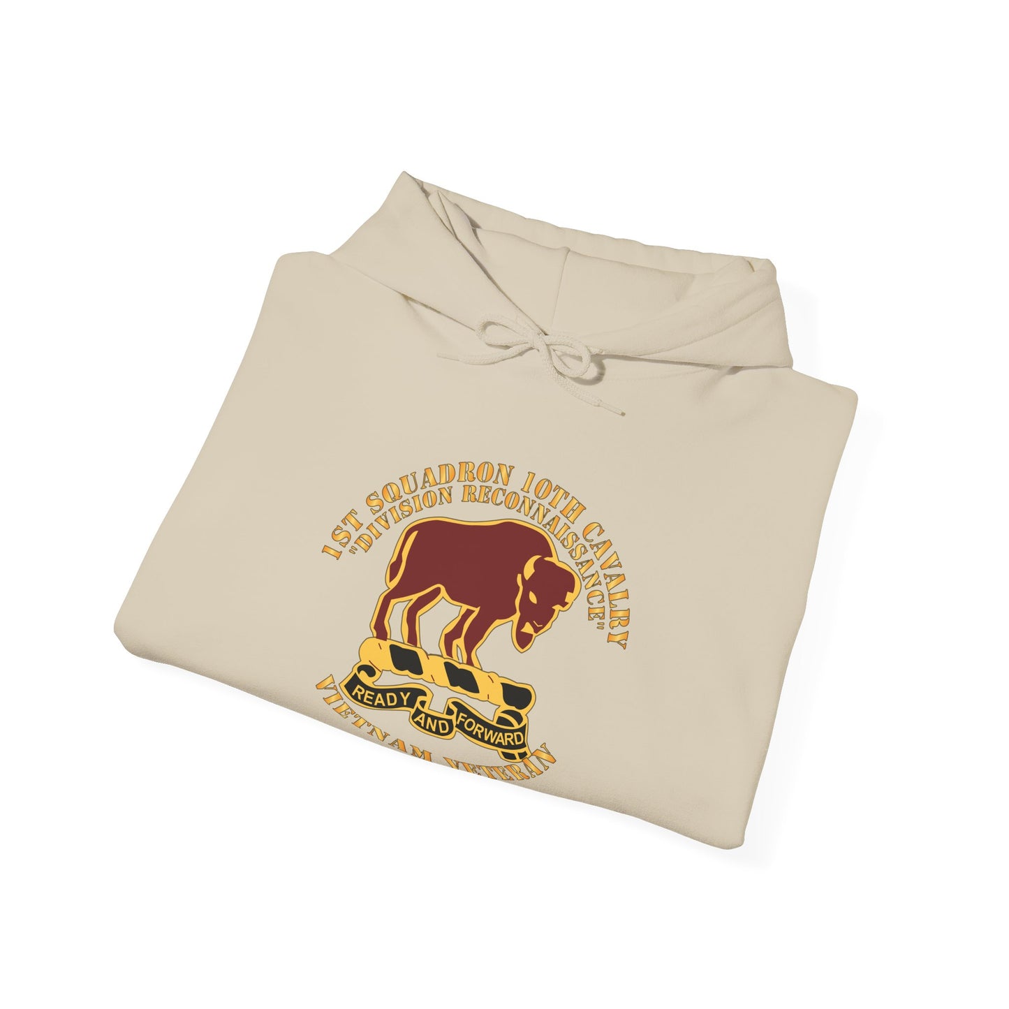 Unisex Heavy Blend™ Hooded Sweatshirt - Army - 1st Squadron, 10th Cavalry w SVC Ribbon X 300
